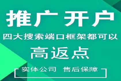 百度竞价广告成功案例：如何实现ROI最大化